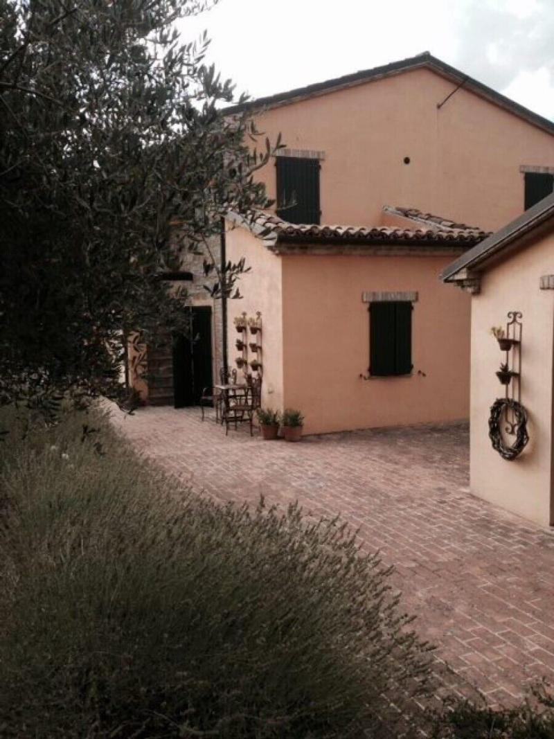 Country House Il Sassone image