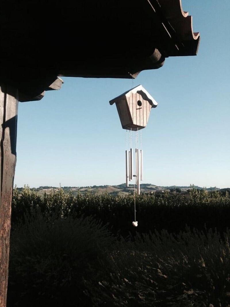 Country House Il Sassone image