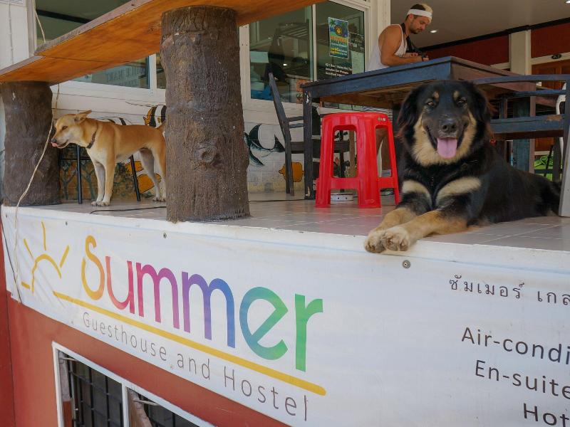 Summer Guesthouse & Hostel image