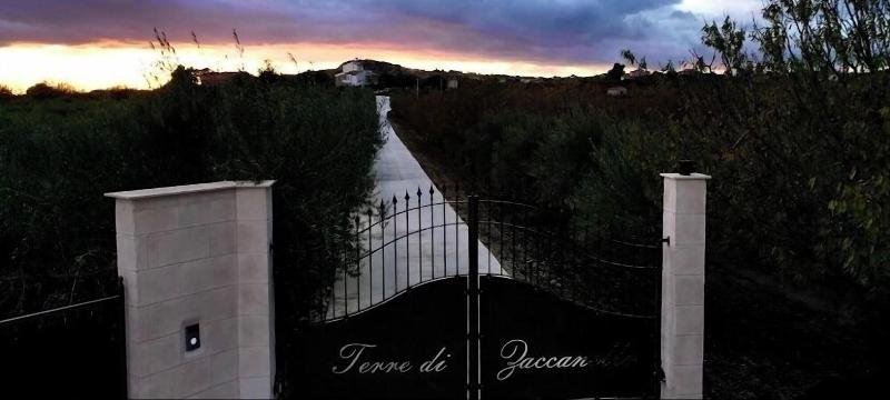 Oikos In Terre Di Zaccanello image