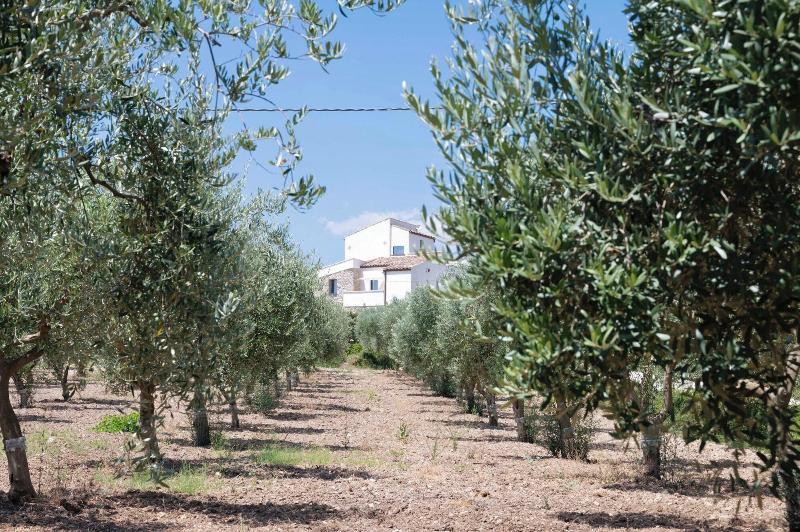 Oikos In Terre Di Zaccanello image