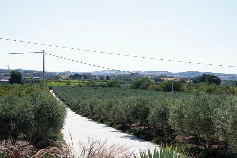 Oikos In Terre Di Zaccanello image