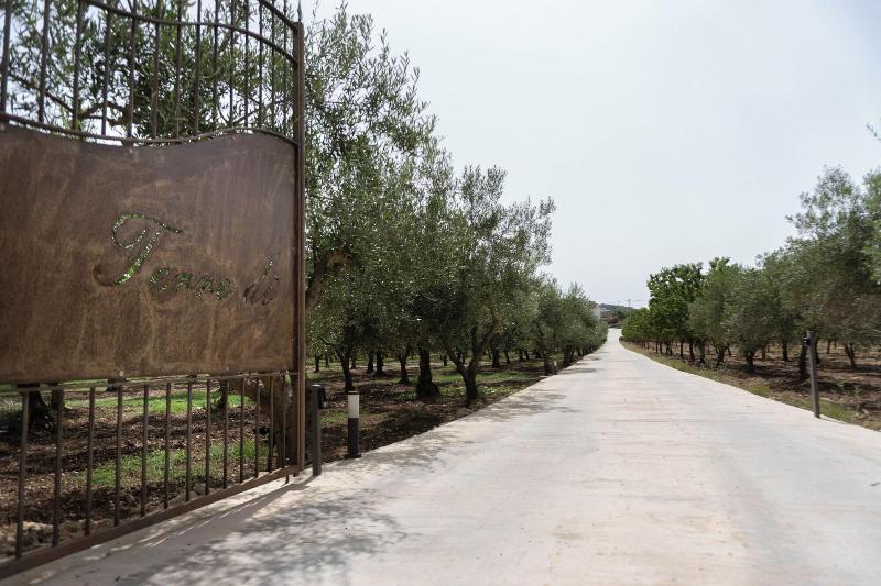 Oikos In Terre Di Zaccanello image