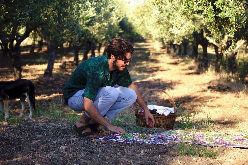 Oikos In Terre Di Zaccanello image