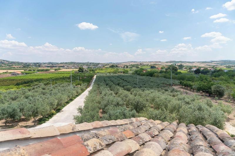 Oikos In Terre Di Zaccanello image