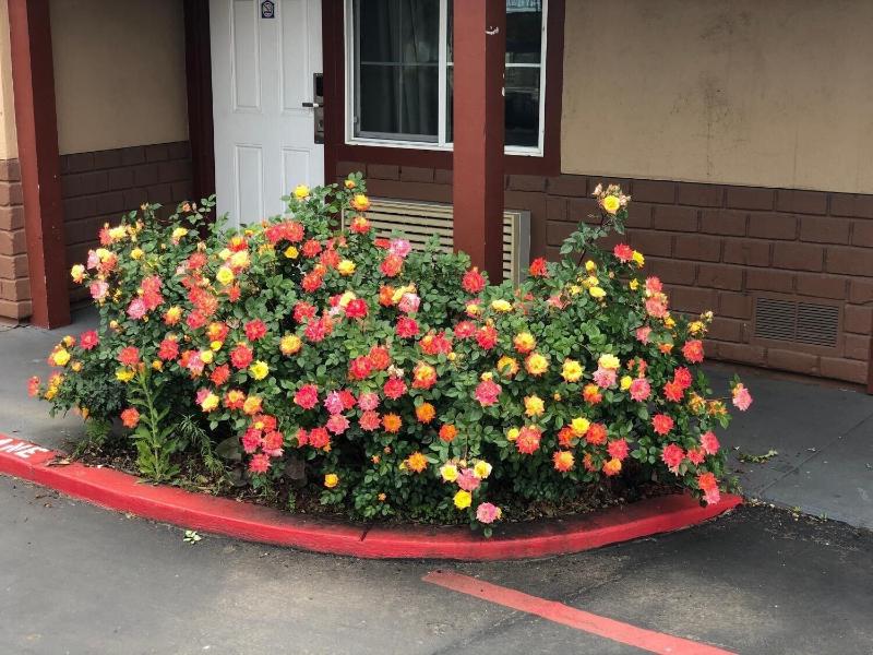 Haven Inn Of Chico image