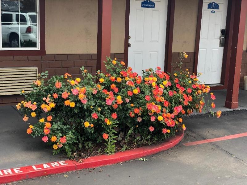 Haven Inn Of Chico image