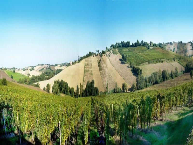 La Vita Nuova image