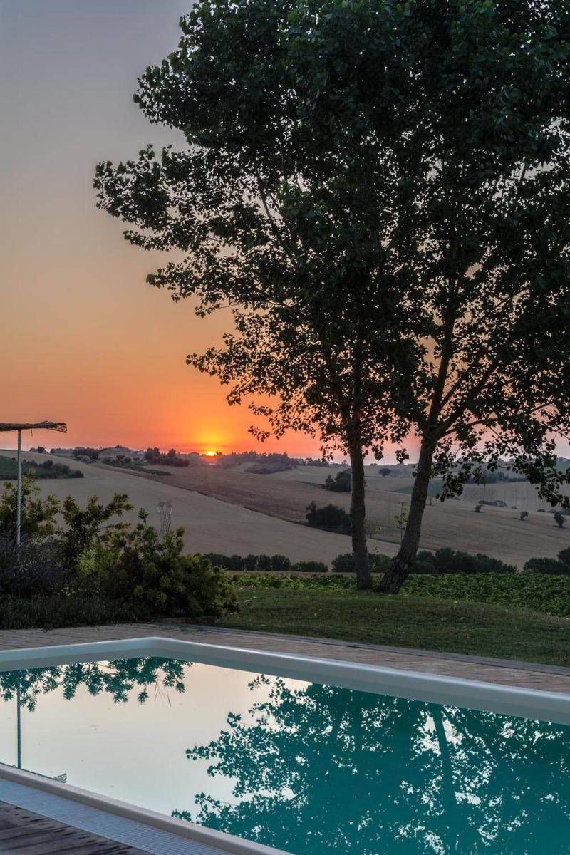La Vita Nuova image