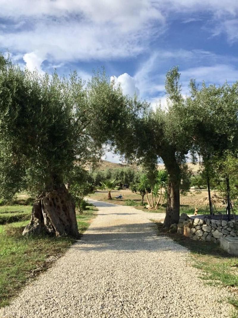 IUTA Glamping & Farm image