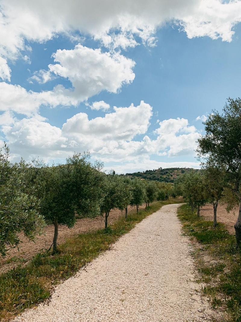IUTA Glamping & Farm image