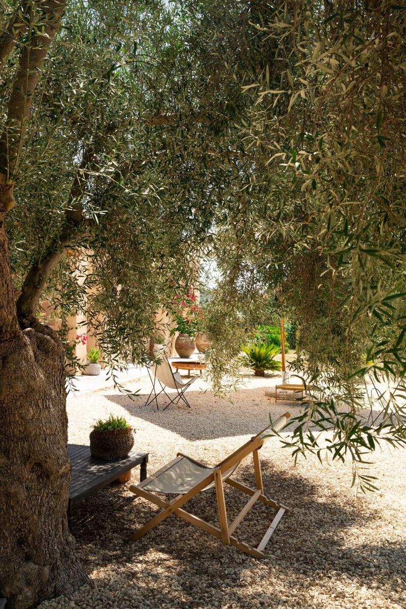 IUTA Glamping & Farm image