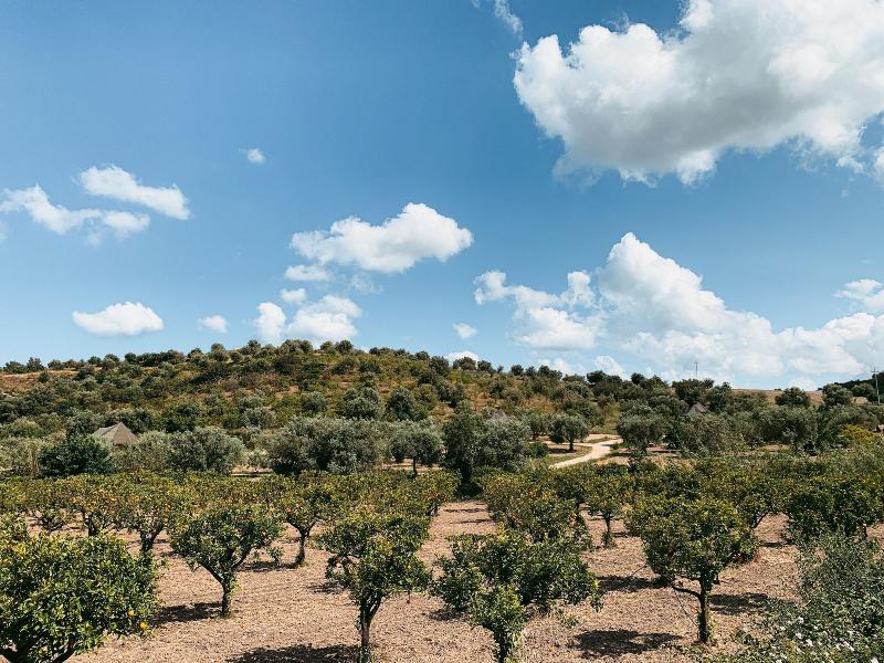 IUTA Glamping & Farm image