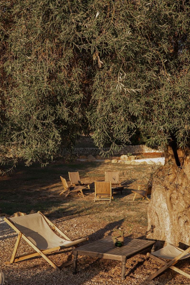 IUTA Glamping & Farm image