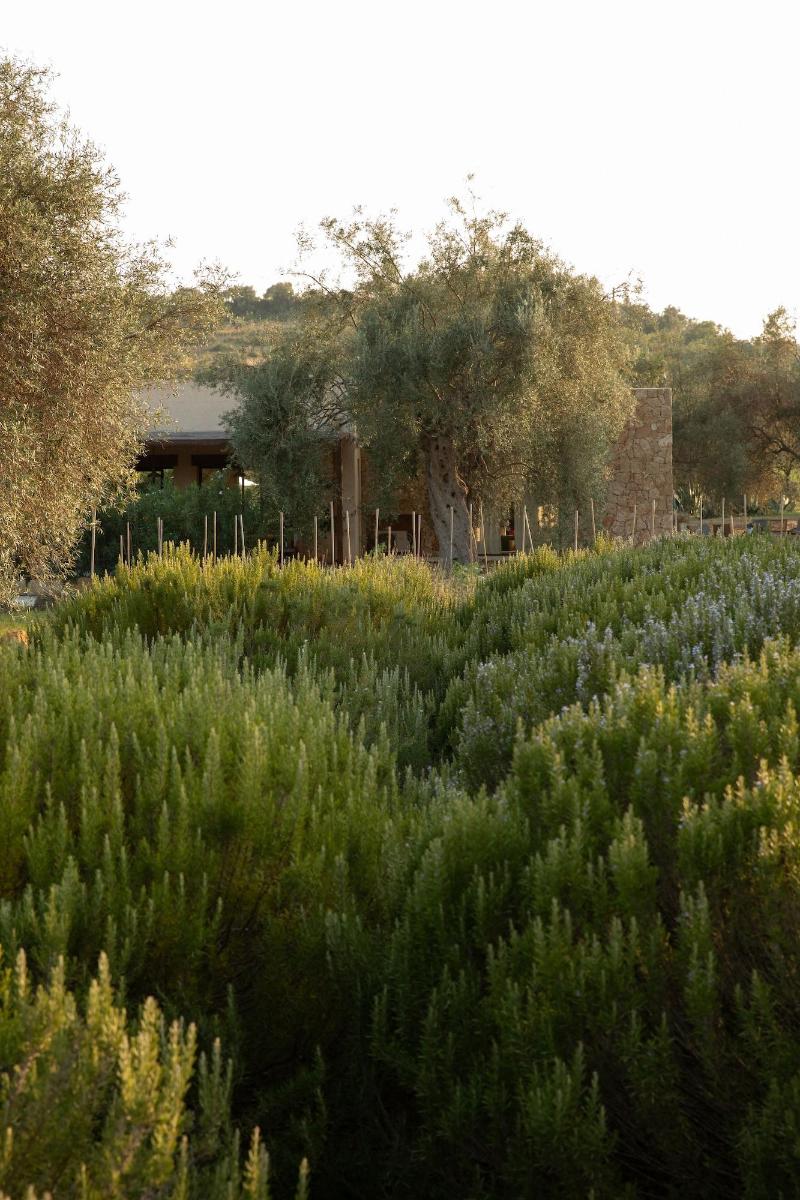 IUTA Glamping & Farm image