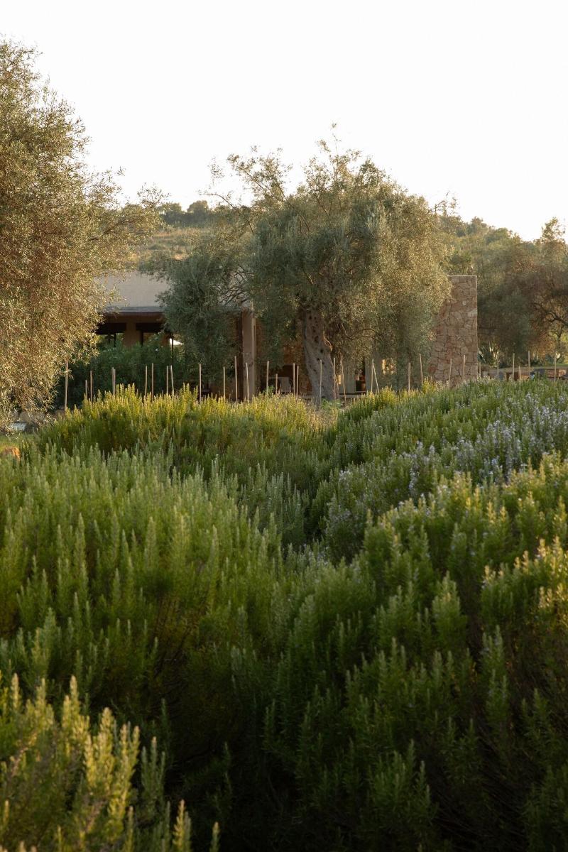 IUTA Glamping & Farm image