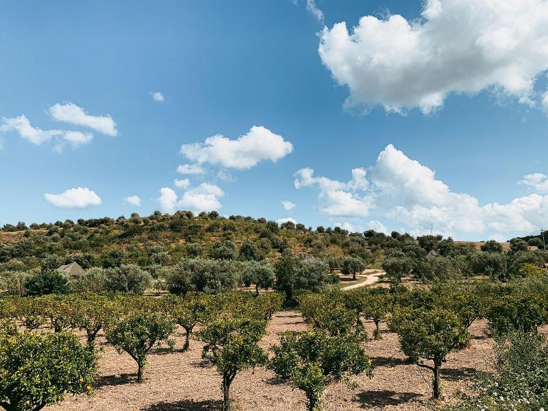 IUTA Glamping & Farm image