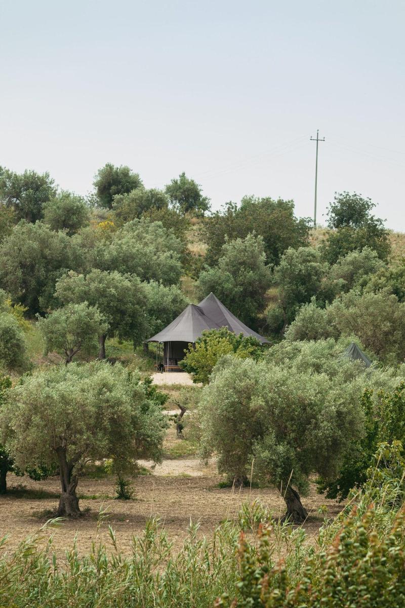 IUTA Glamping & Farm image