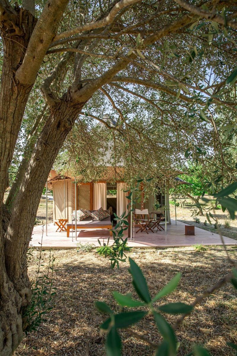 IUTA Glamping & Farm image