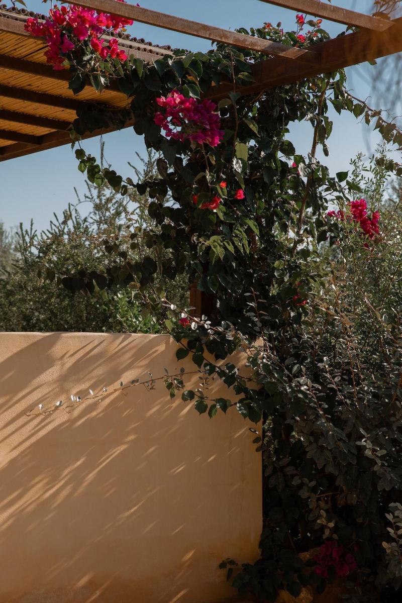 IUTA Glamping & Farm image