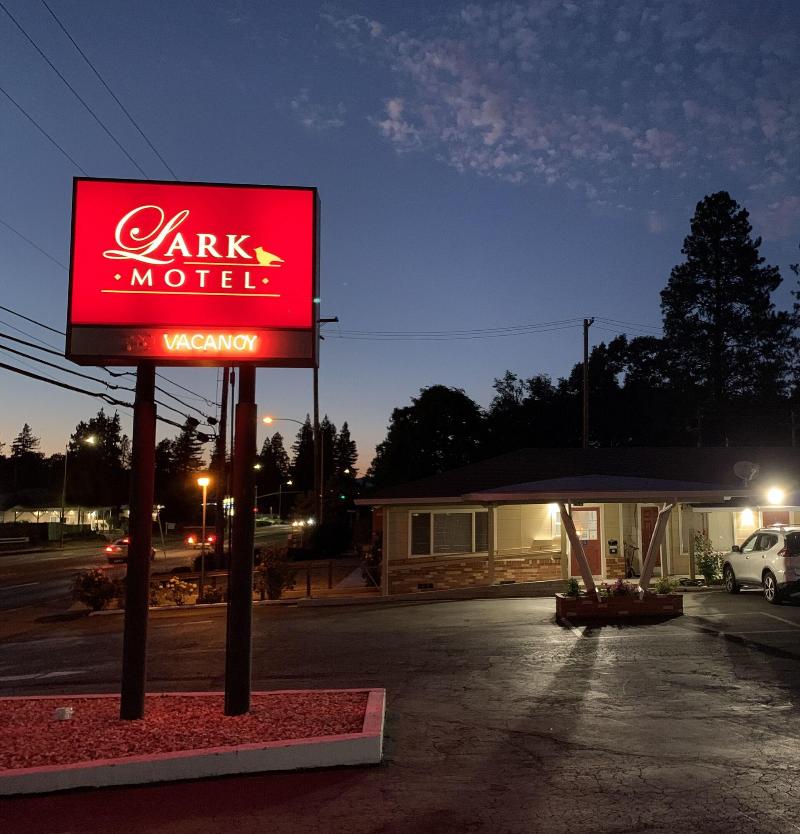 Lark Motel image