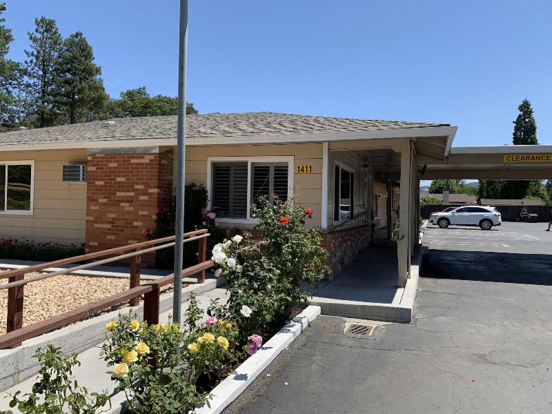 Lark Motel image