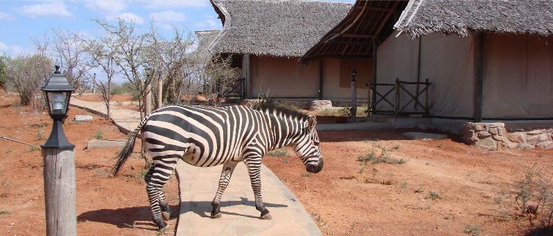 Man Eaters Lodge