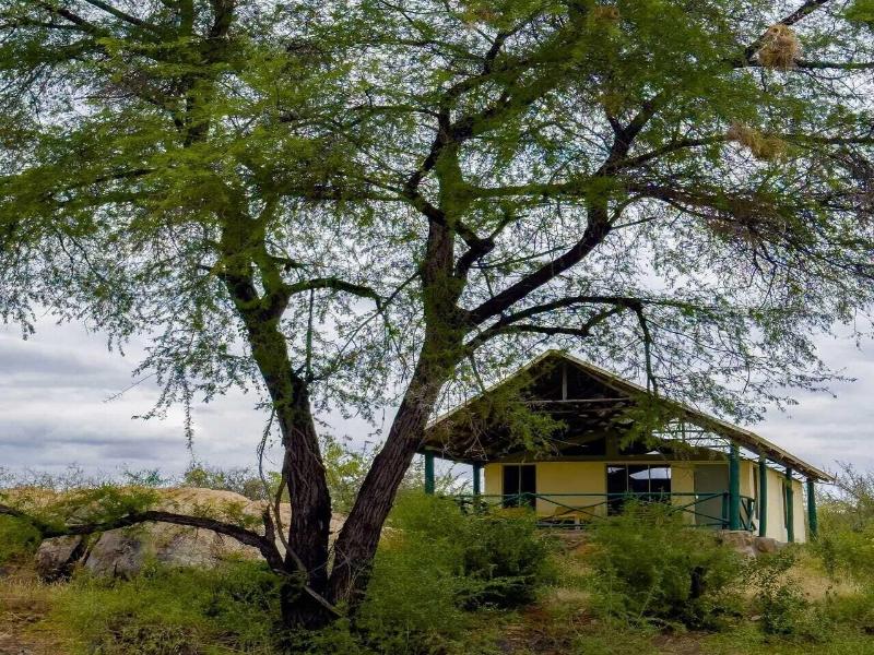 Man Eaters Lodge