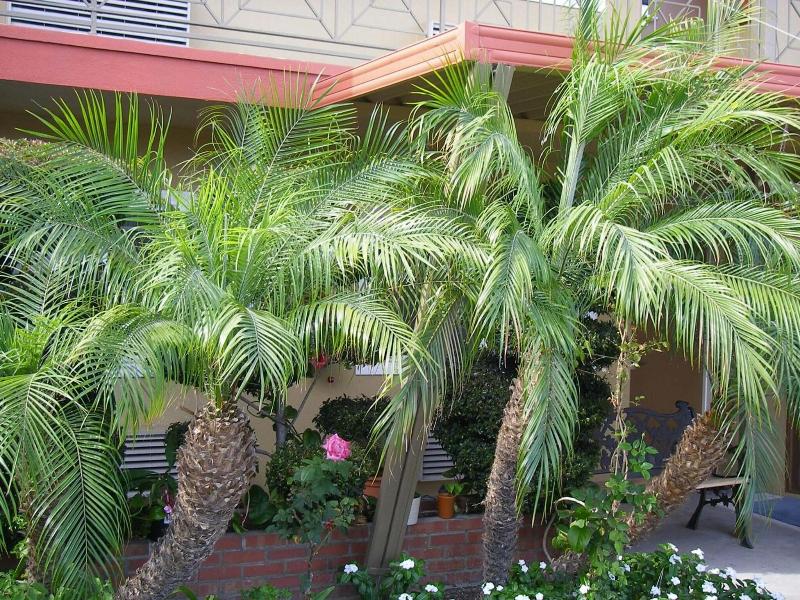 Fullerton Lodge image