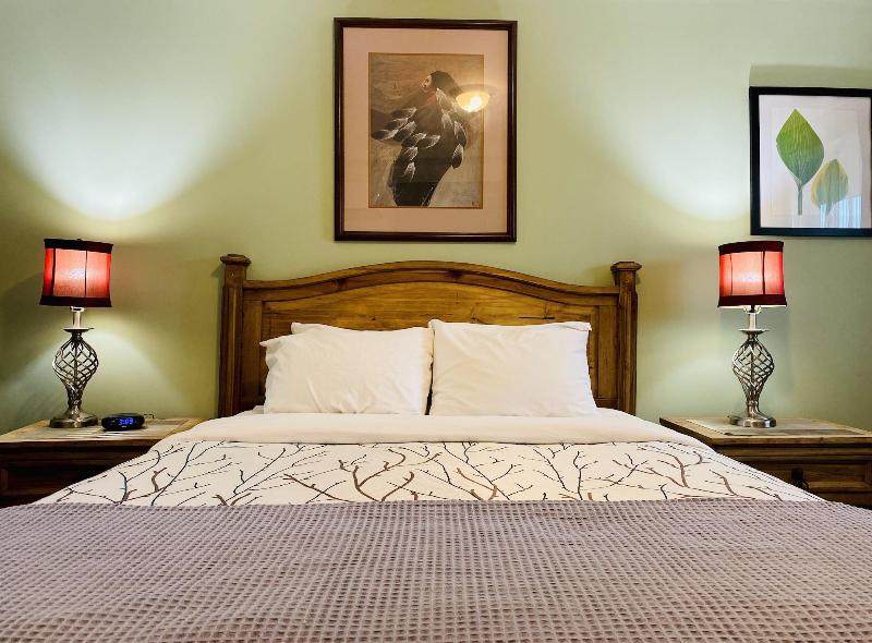 Salida Inn & Monarch Suites image