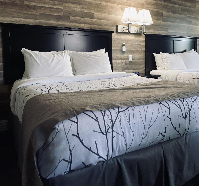Salida Inn & Monarch Suites image