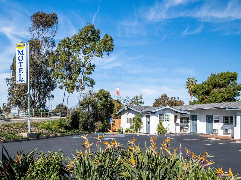 Scandia Motel image