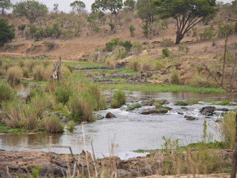 Mvuradona Safari Lodge image