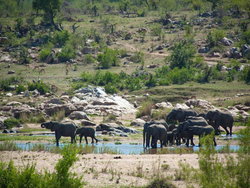 Mvuradona Safari Lodge image