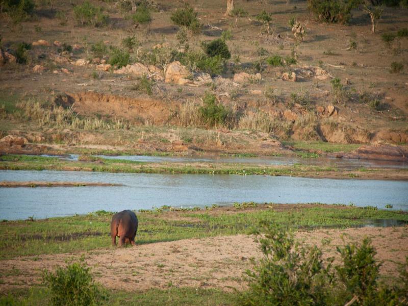 Mvuradona Safari Lodge image