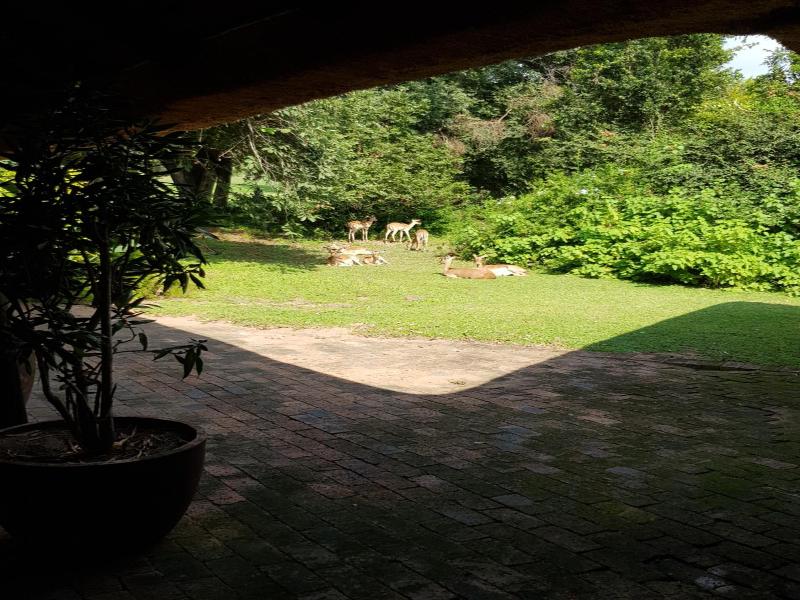 Kruger Park Lodge unit No. 277 image