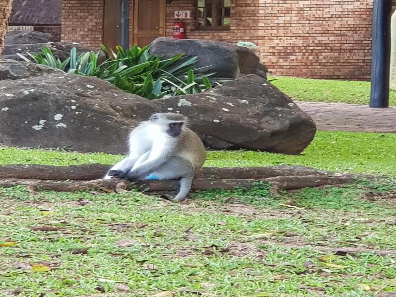 Kruger Park Lodge unit No. 277 image