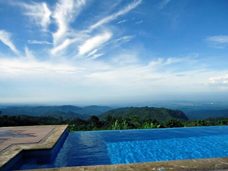 Finca Hamburgo