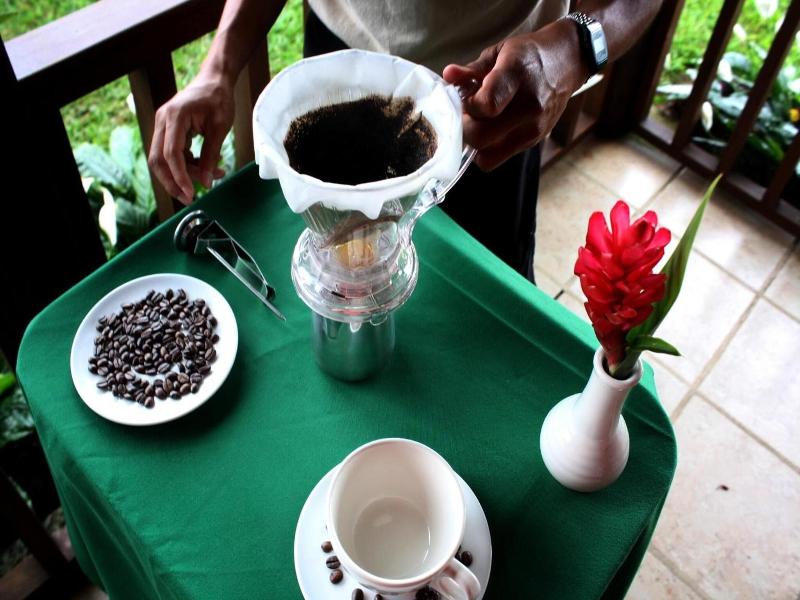 Finca Hamburgo