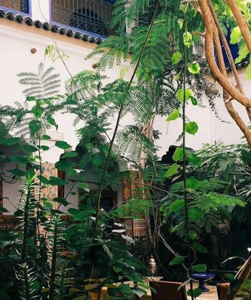Riad Maryam image