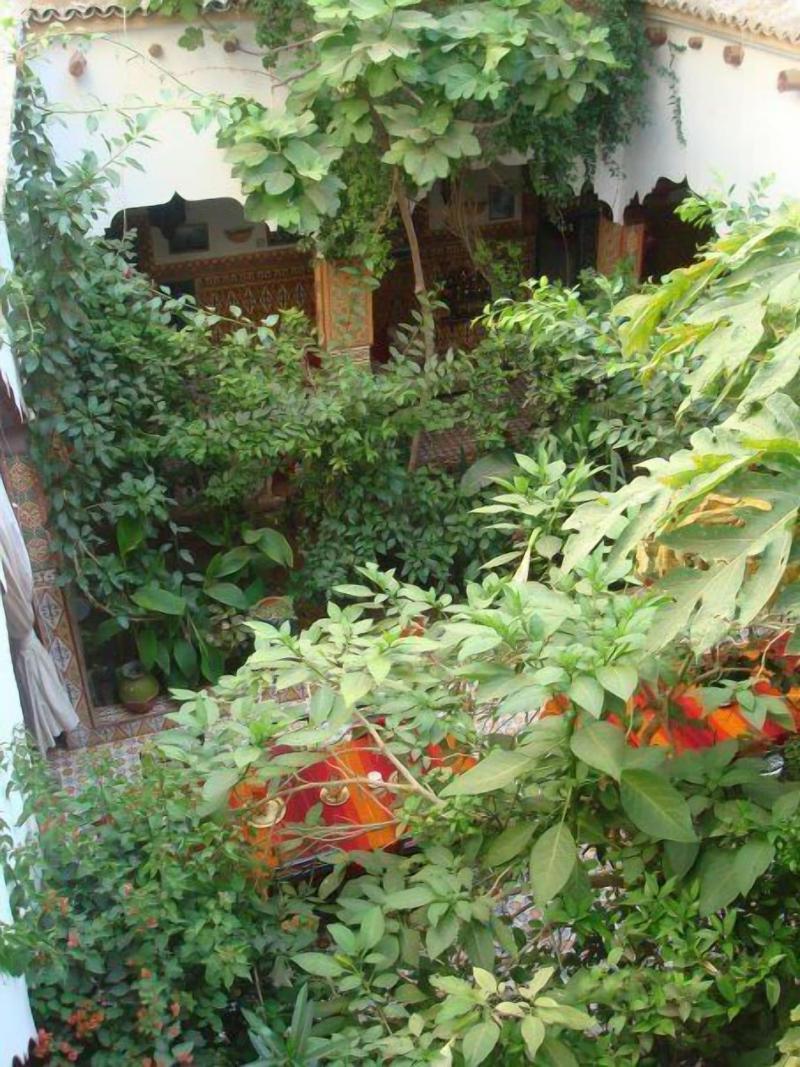 Riad Maryam image