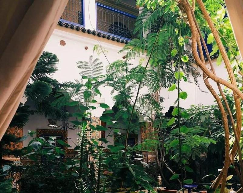 Riad Maryam image