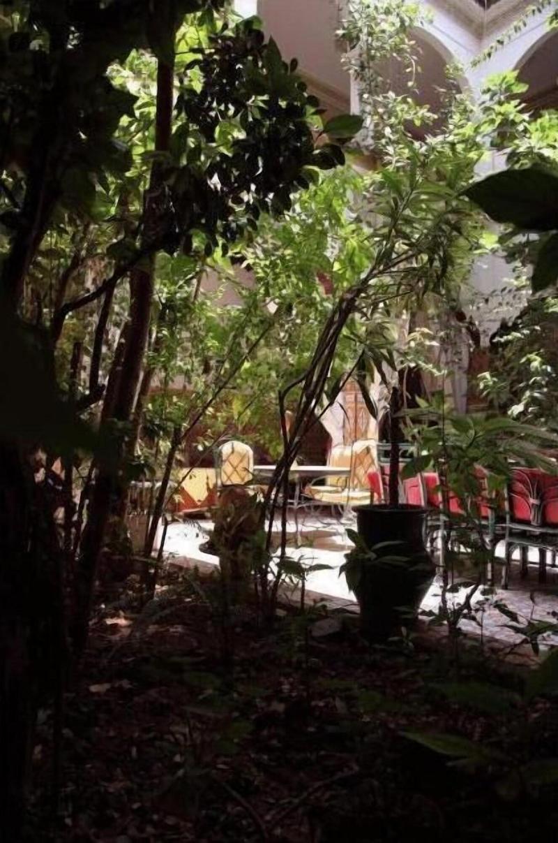 Riad Maryam image