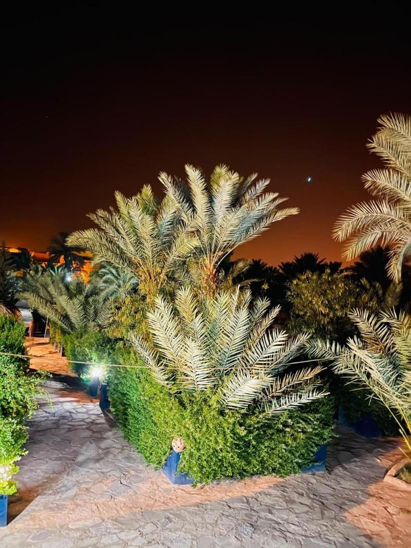 Paradis Touareg — photo 5