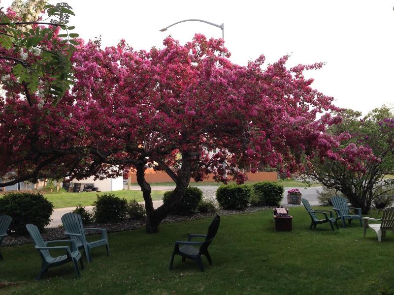 Lakeshore Inn & Suites — photo 4