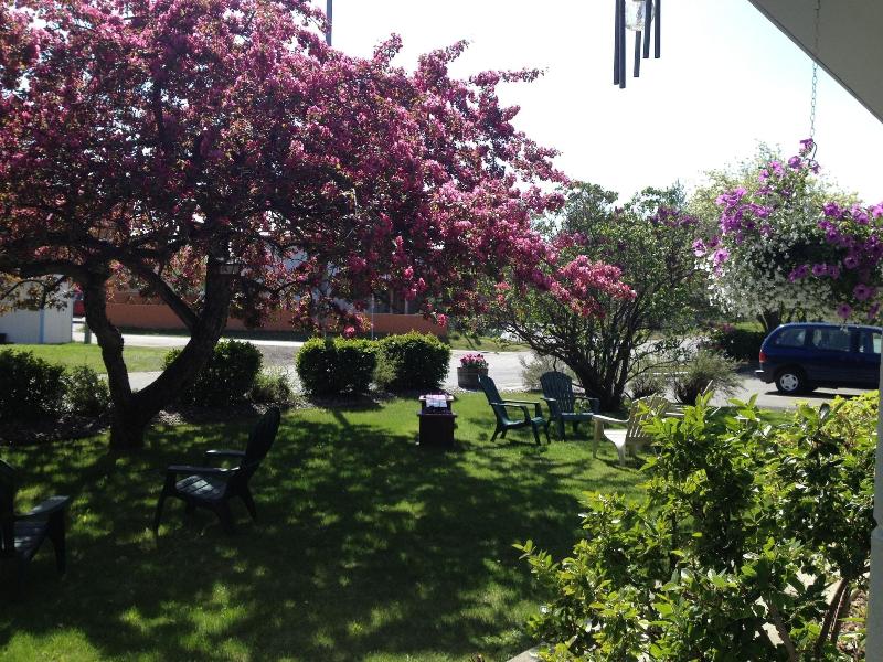 Lakeshore Inn & Suites — photo 5