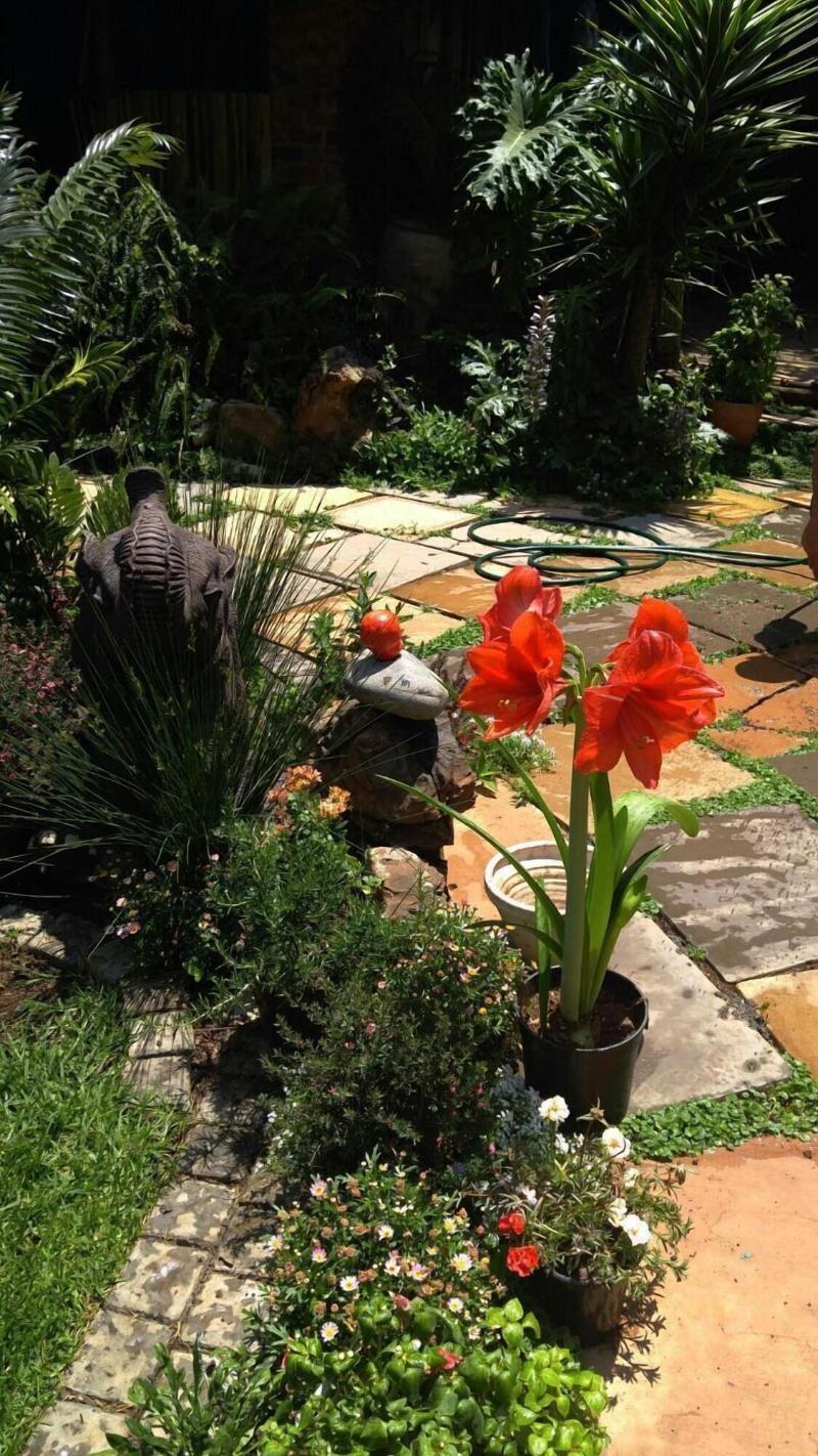 Breena Bnb Guest House image