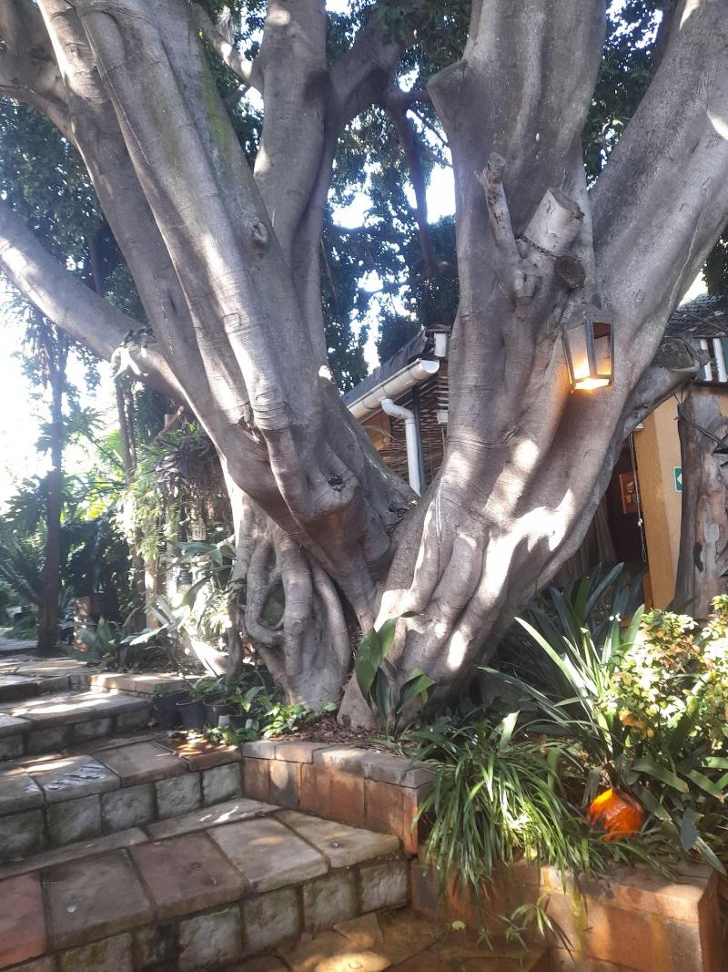 Breena Bnb Guest House image