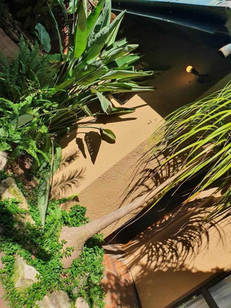 Breena Bnb Guest House image