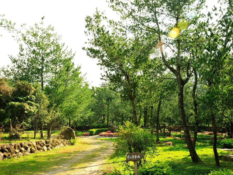 Zen And Pine Resort image